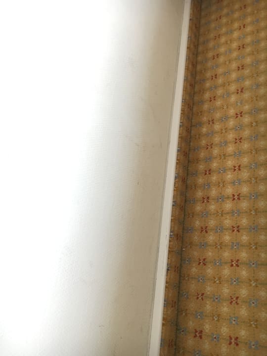 Zimmer Hotel Domicil Berlin by Golden Tulip