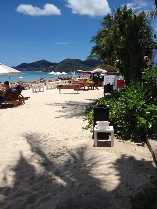 Schönster und gepflegtester Strand am Chaweng B. Banana Fan Sea Resort