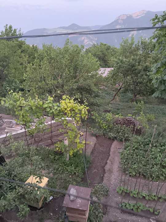 Gartenanlage Arman Bed and Breakfast