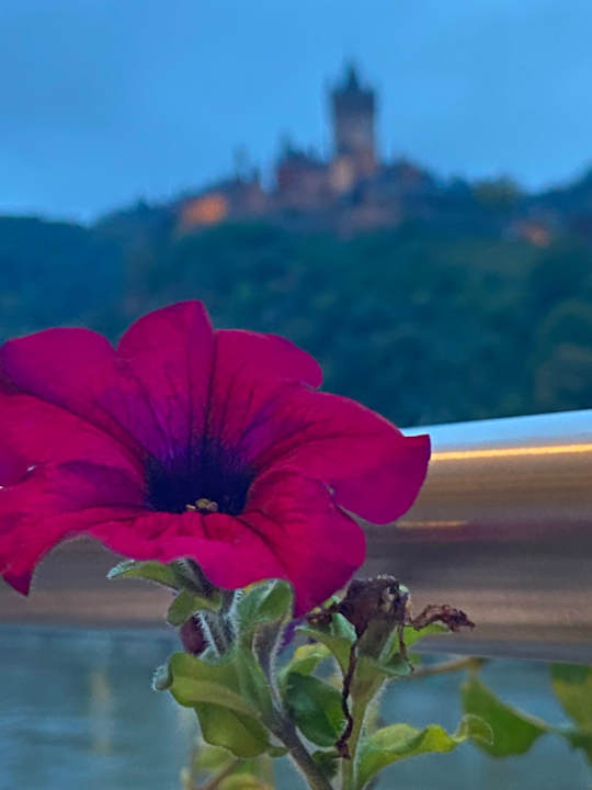 Ausblick Moselstern Hotel Brixiade & Triton