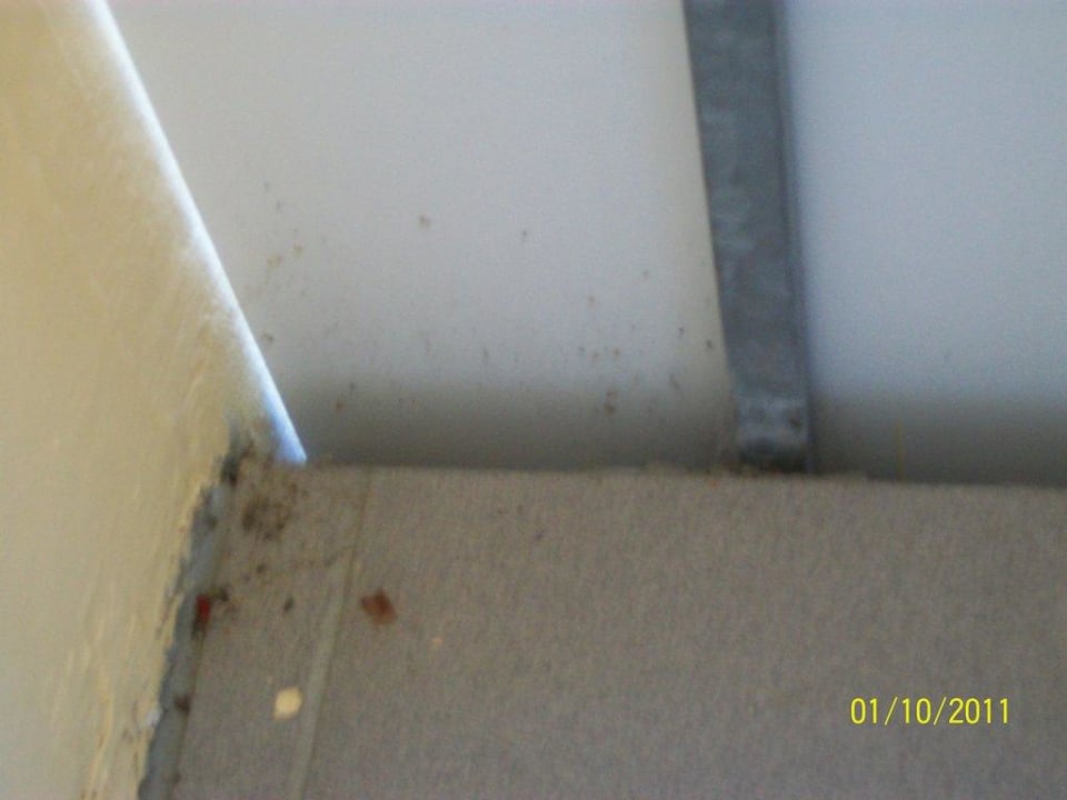 Nochmals der dreckige Balkon Ferien Hotel Bad Malente