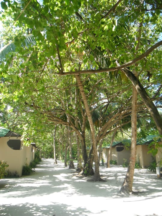 Mitte der Insel Summer Island Maldives