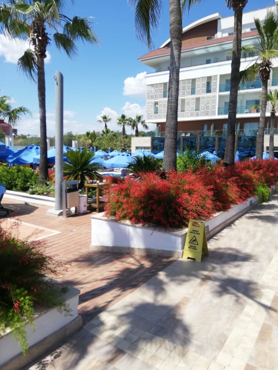 Pool Sentido Trendy Verbena Beach