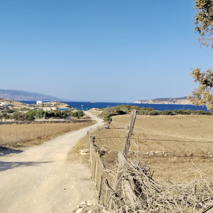 Ausblick Anatoli Studios