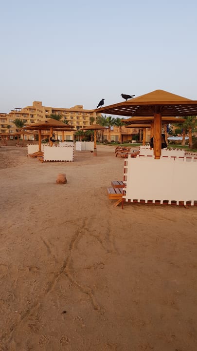 Strand Shams Prestige Abu Soma-Adults Only