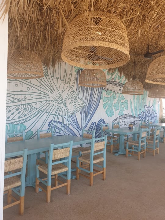 Außenansicht Desert Rose