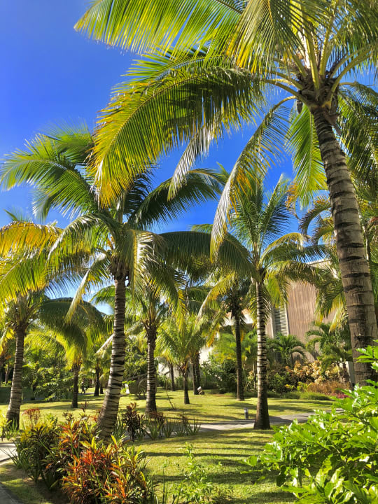 Gartenanlage Crystals Beach Resort Belle Mare, a member of Radisson Individuals