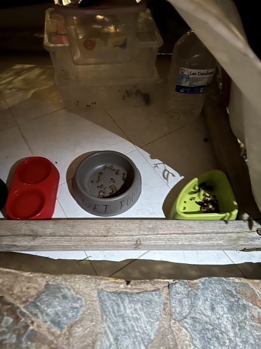 Sonstiges Club Hotel Drago Park