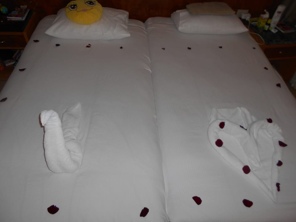 Zimmer Beach Albatros Resort