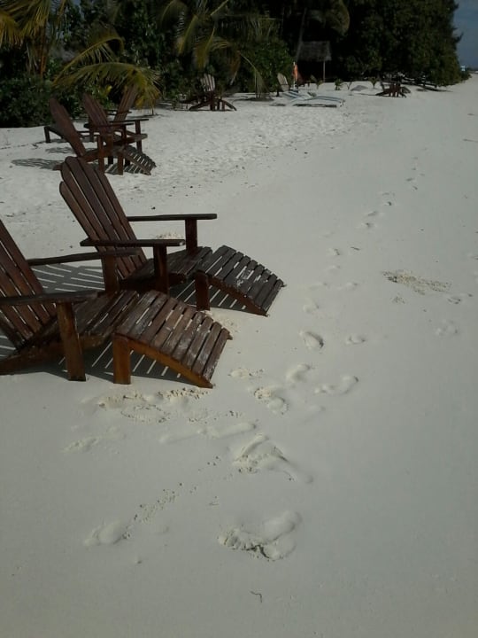 Strand Summer Island Maldives