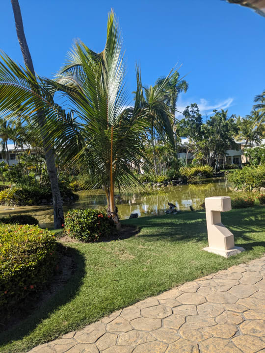 Gartenanlage Meliá Punta Cana Beach Resort - A Wellness Inclusive For Adults Only