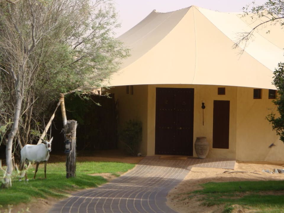 Außenansicht auf Bungalow Al Maha, A Luxury Collection Desert Resort & Spa