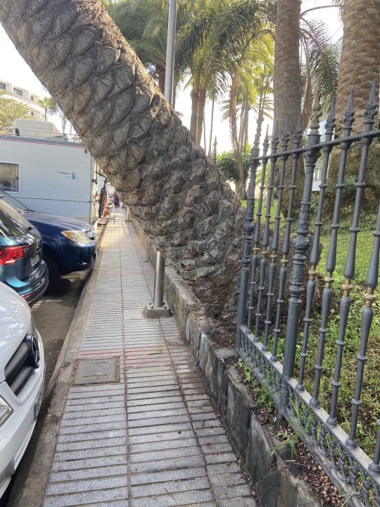 Sonstiges Hotel Riu Palace Oasis