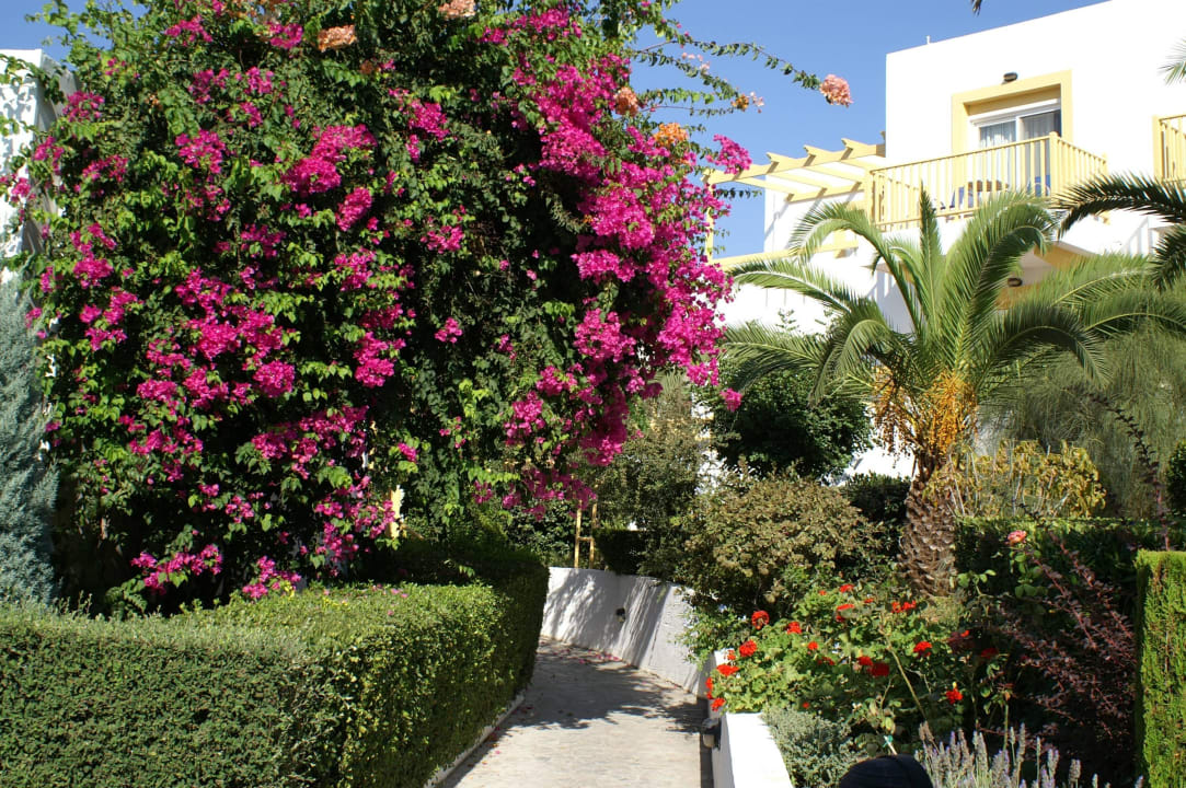 Weg zwischen den Gebäuden Mastichari Bay Hotel