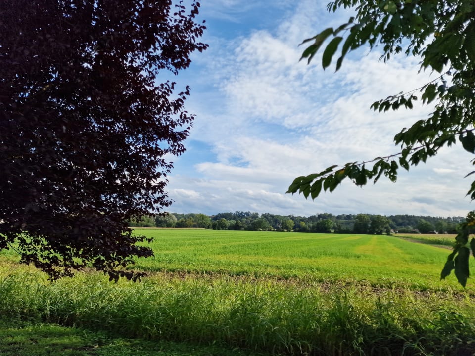Gartenanlage Ferienwohnung Bichler