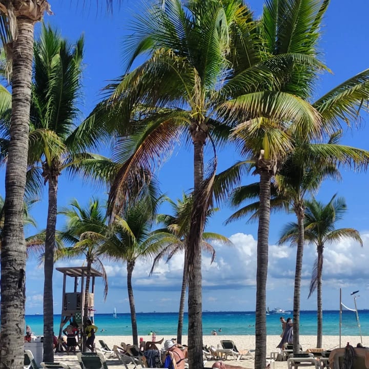 Ausblick Hotel Riu Tequila