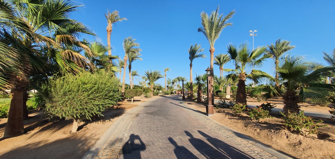 Gartenanlage Steigenberger Aqua Magic