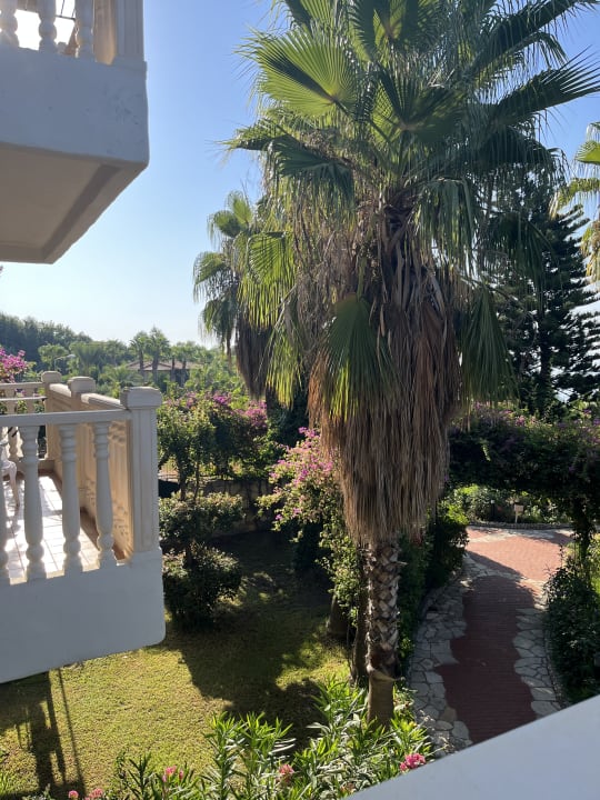 Ausblick Hotel Defne Dream