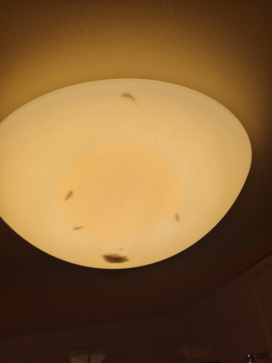 Zimmer Center Parcs Park Bostalsee