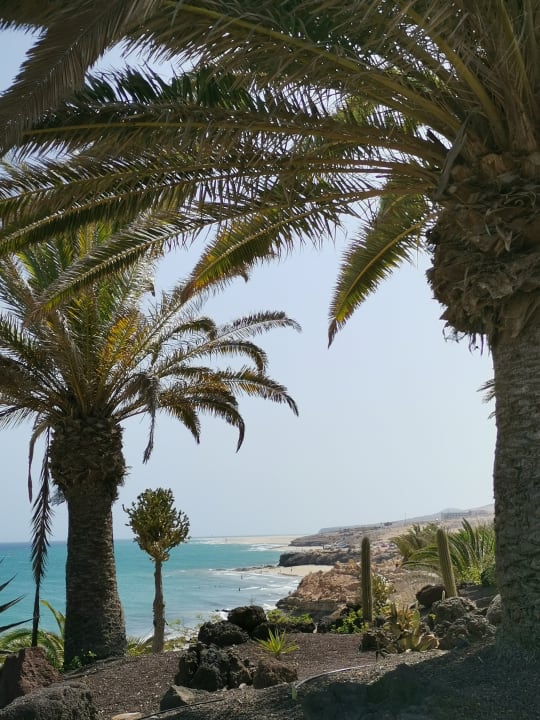 Ausblick R2 Pajara Beach