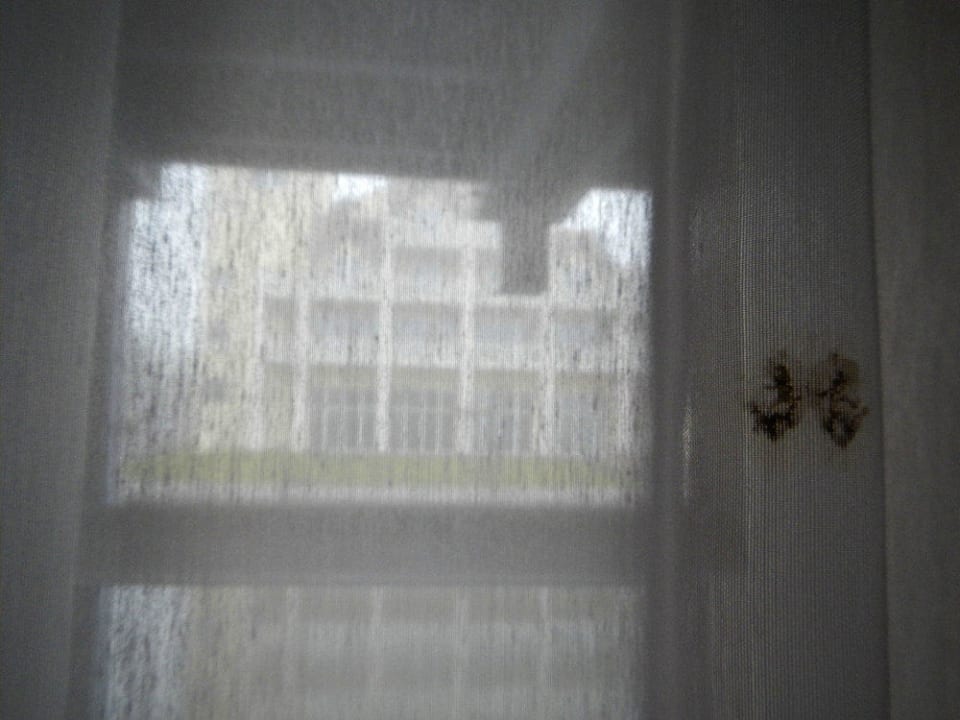 Dreck an der Gardine Precise Resort Hafendorf Rheinsberg