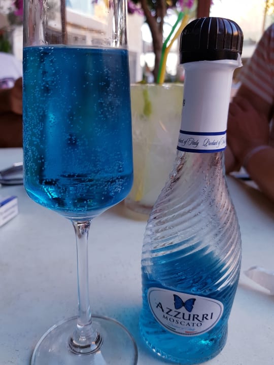 Gastro Cactus Beach