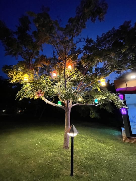 Gartenanlage Megasaray Club Belek
