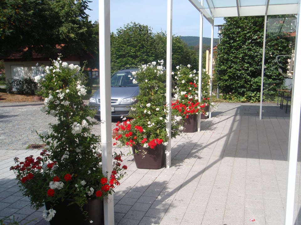 Hotel von aussen - Arkarden vom Parkplatz zum Hotel Hotel Herzog Heinrich
