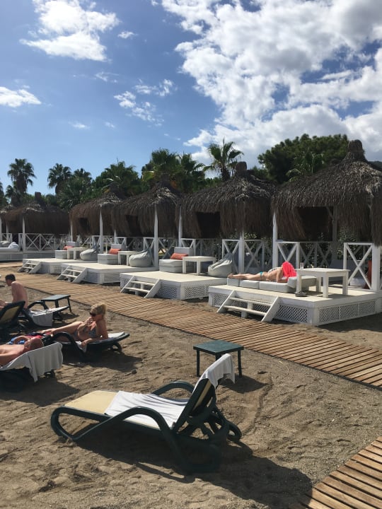 Strand Balmy Foresta