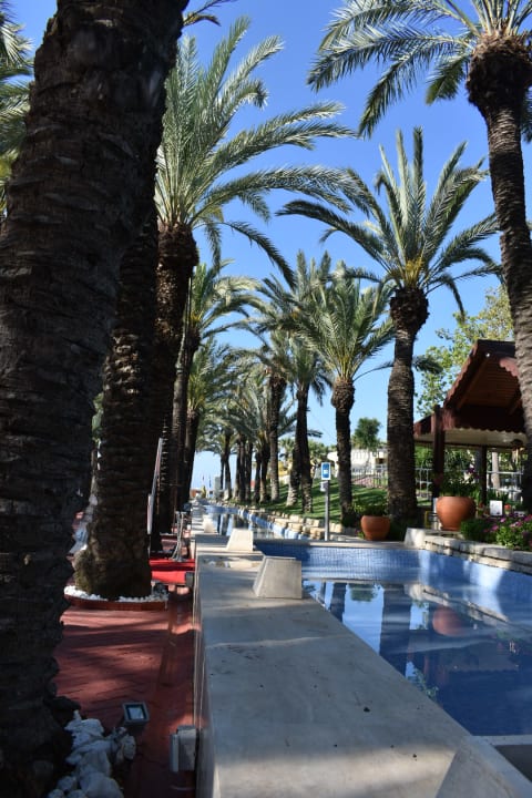 Restaurant Monachus Family Resort Sorgun