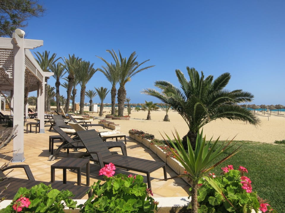 Liegen oberhalb des Strandes Steigenberger Marhaba Thalasso Hammamet