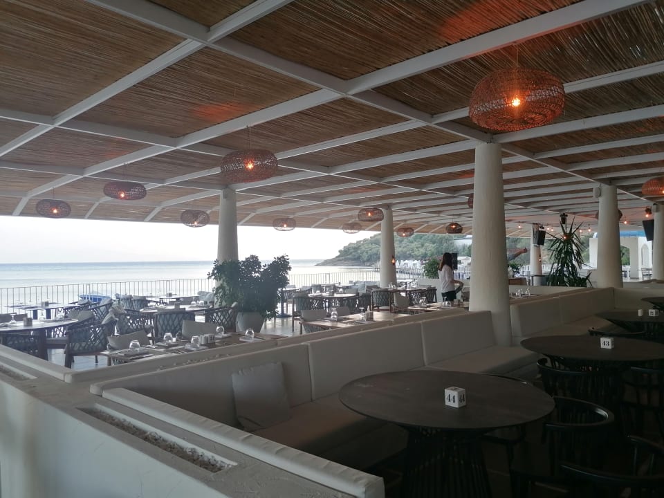 Gastro Paloma Pasha
