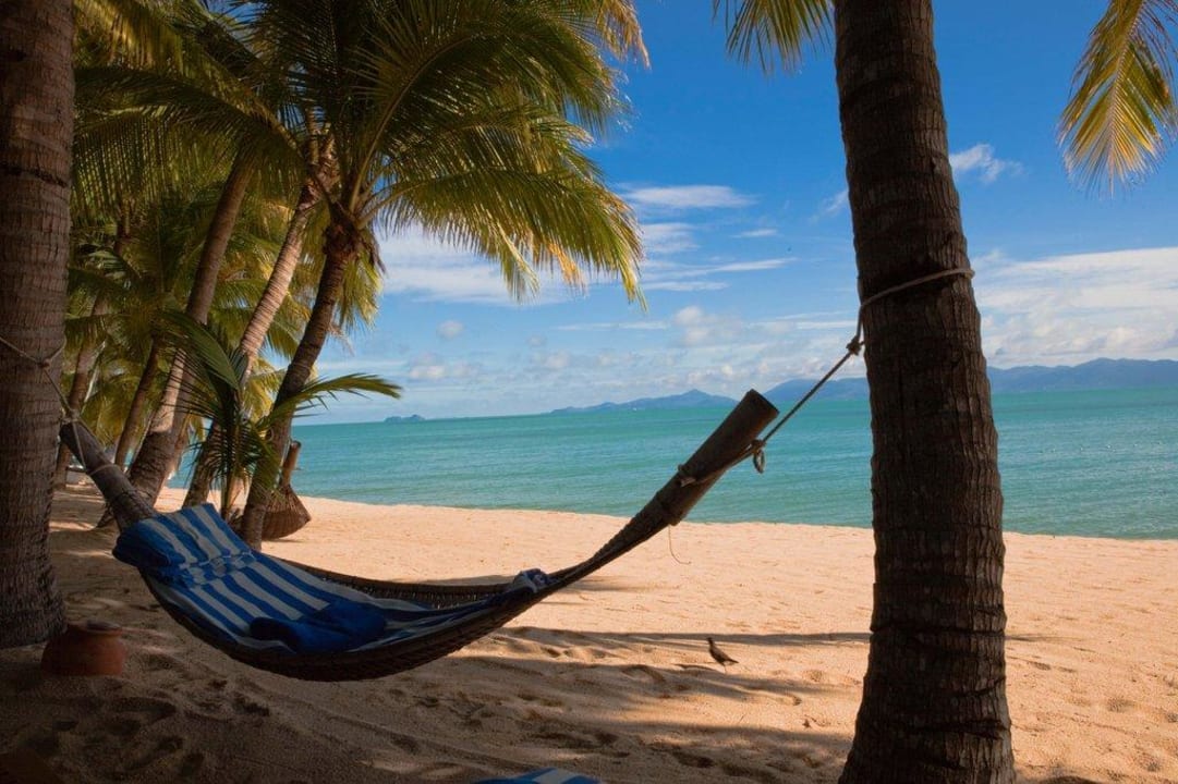 Hängematte zwischen Palmen Santiburi Koh Samui