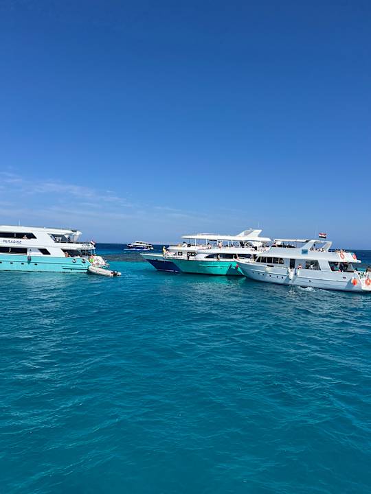 Strand Rewaya Majestic Resort