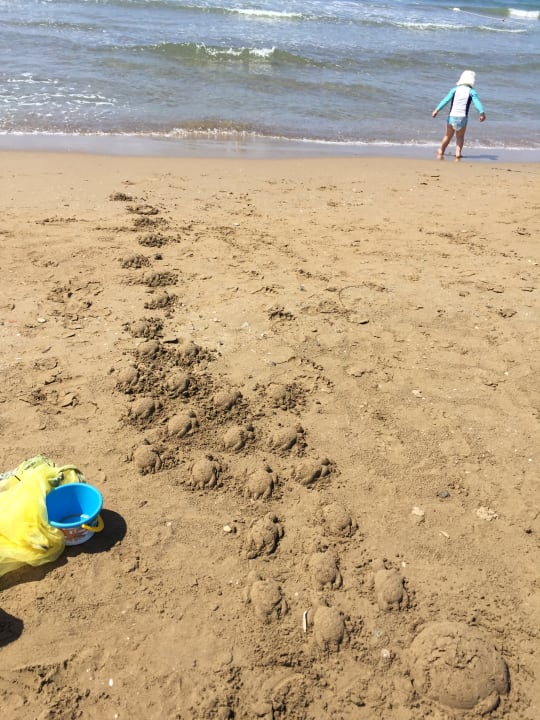 Strand Side Alegria Hotel & Spa - Adults only +16