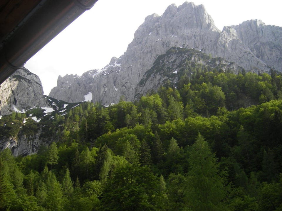 Der Kaiser Alpengasthaus Griesner Alm
