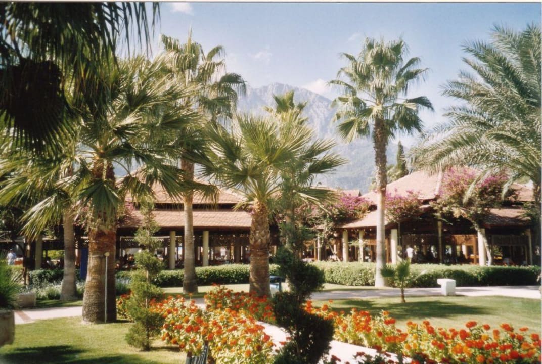 Restaurant Club Med Palmiye