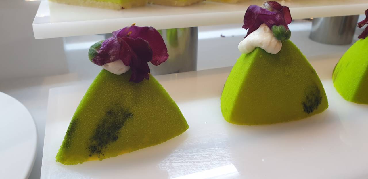 Gastro JAZ Elite Asteria