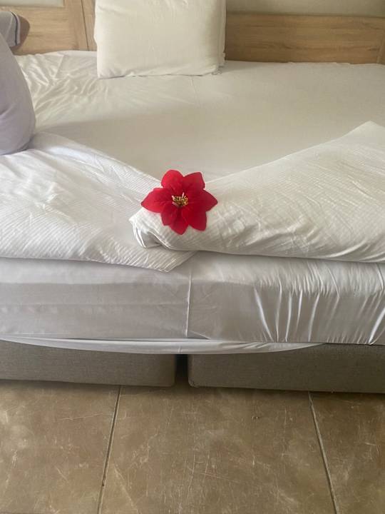 Zimmer Pickalbatros Aqua Blu Resort - Hurghada