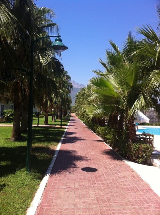 Hotel Crystal Flora Pearl Collection