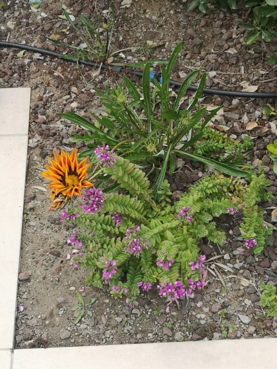 Gartenanlage Korumar Ephesus Beach & Spa Resort