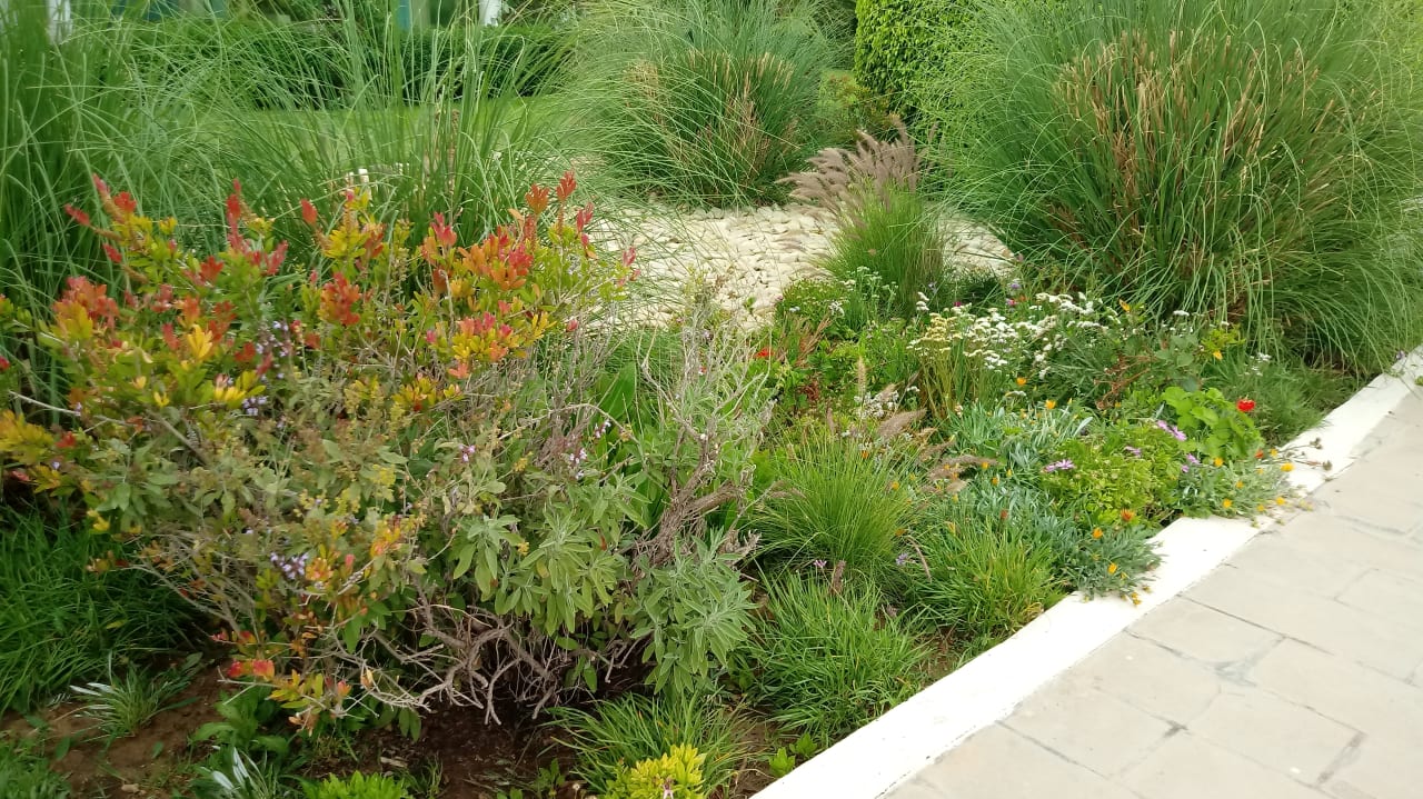 Gartenanlage Iberostar Selection Royal El Mansour