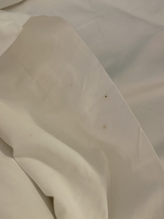 Zimmer Lopesan Costa Bávaro Resort, Spa & Casino