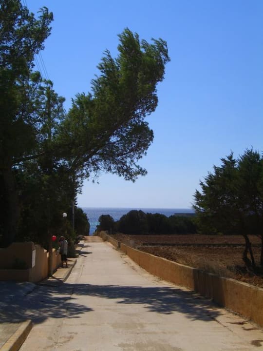 Straße vor dem Hotel  Hotel La Palmera