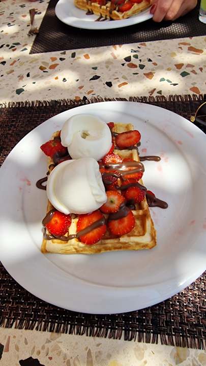 Strand Seashell Vega