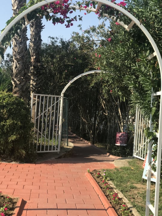 Gartenanlage Seher Kumköy Star Resort & Spa