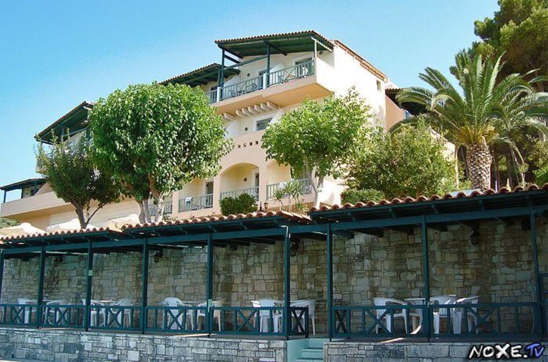 Widok z hotelowego basenu Hotel Forest Park