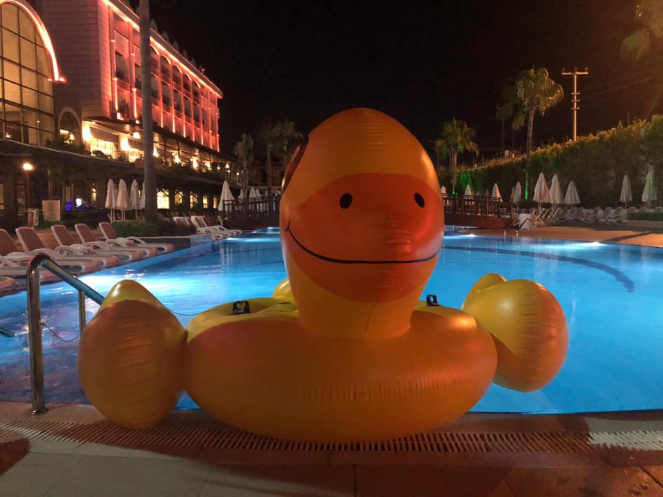 Pool Mary Hotel Side