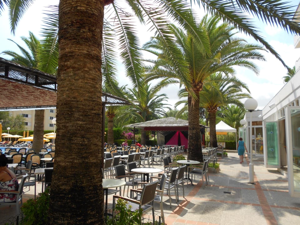 Terrasse  Millor Sol