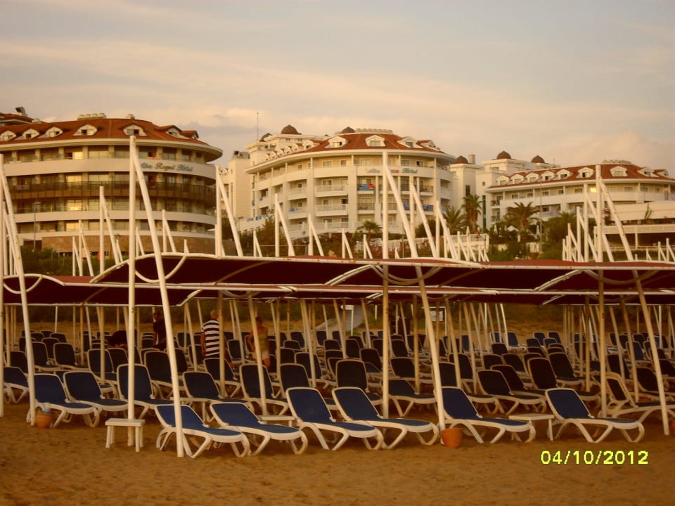 Strandliegen Alba Queen Hotel